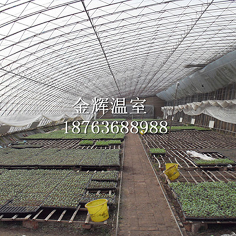 蔬菜大棚冰雹等強(qiáng)對流天氣應(yīng)該如何做好防護(hù)？