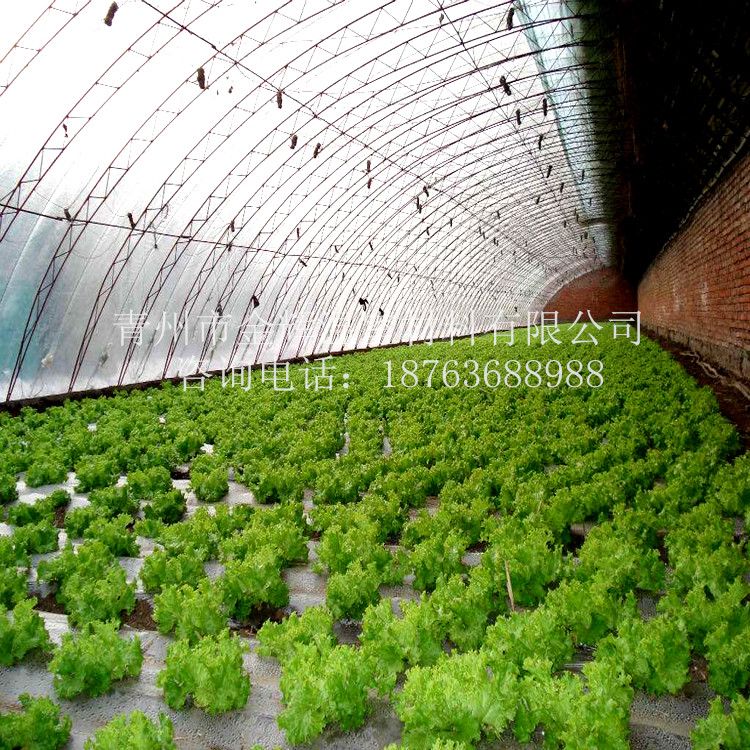 霧霾天氣薄膜溫室大棚如何排風(fēng)