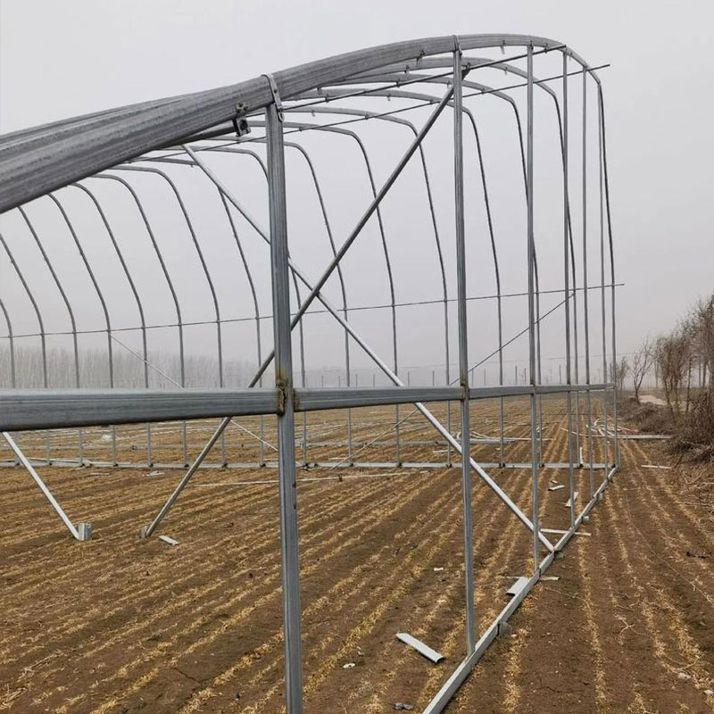 橢圓管大棚